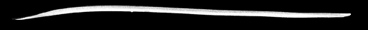 Line Burning Pen Texter Berlin